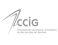site-web-ccig