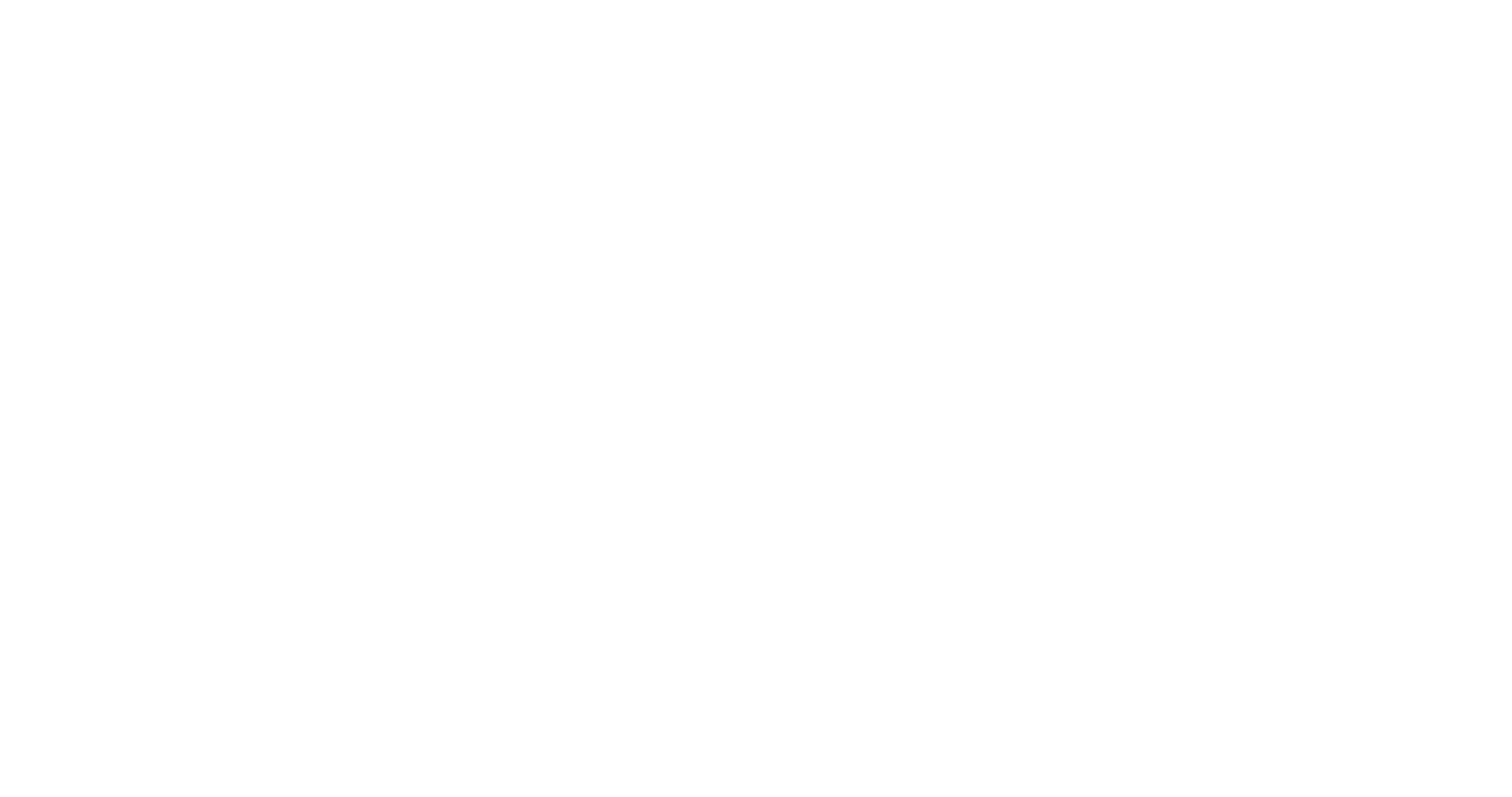 logo porsche blanc