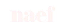 Logo – realisation naef