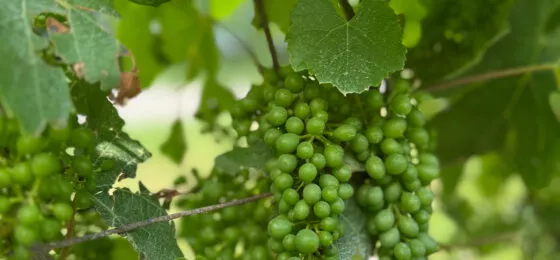 Banner – realisation perriere