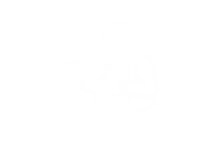 Logo – realisation perriere